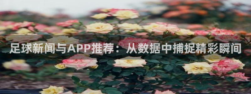 足球新闻与APP推荐：从数据中捕捉精彩瞬间