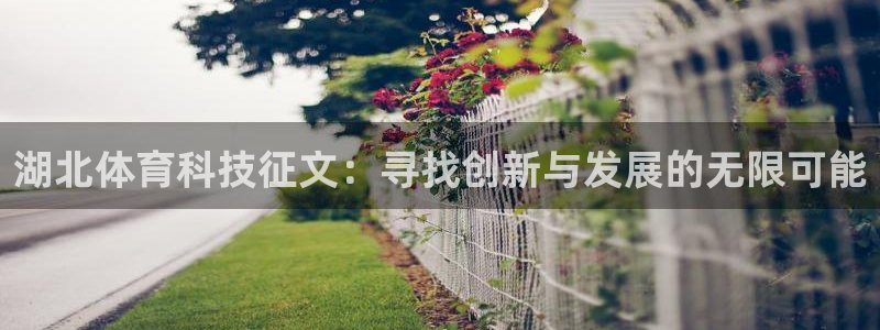 湖北体育科技征文：寻找创新与发展的无限可能