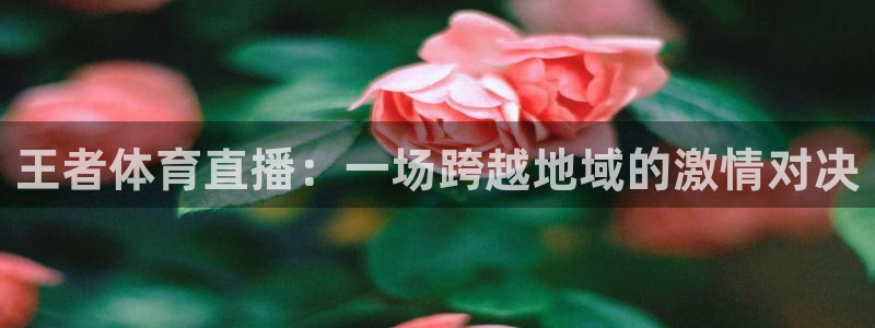 王者体育直播：一场跨越地域的激情对决
