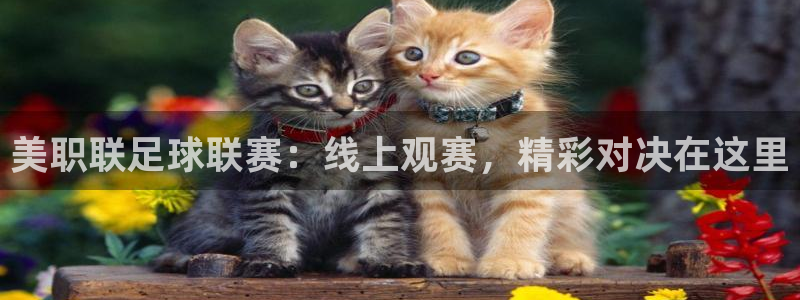 美职联足球联赛：线上观赛，精彩对决在这里