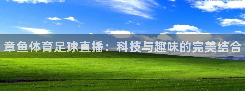 章鱼体育足球直播：科技与趣味的完美结合