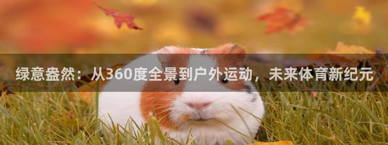 绿意盎然：从360度全景到户外运动，未来体育新纪元