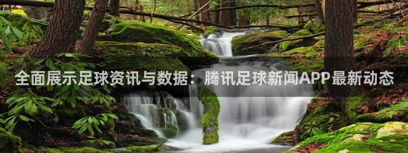 全面展示足球资讯与数据：腾讯足球新闻APP最新动态