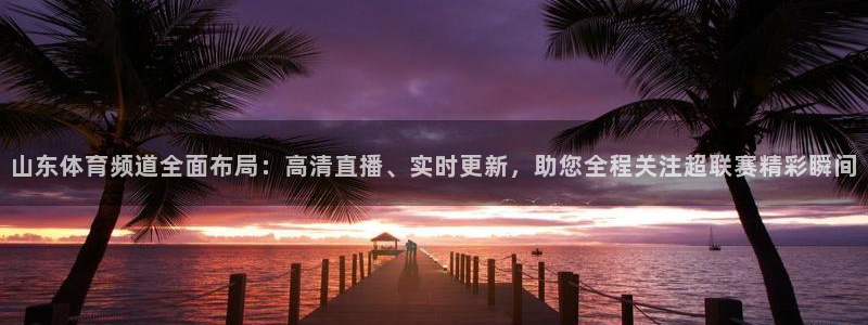 山东体育频道全面布局：高清直播、实时更新，助您全程关注超联赛精彩瞬间