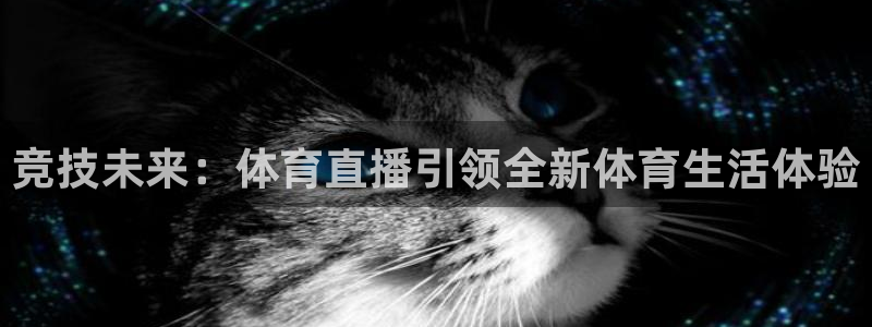 竞技未来：体育直播引领全新体育生活体验