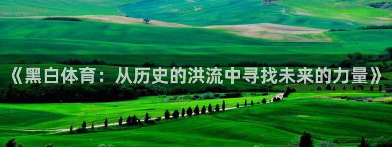 《黑白体育：从历史的洪流中寻找未来的力量》