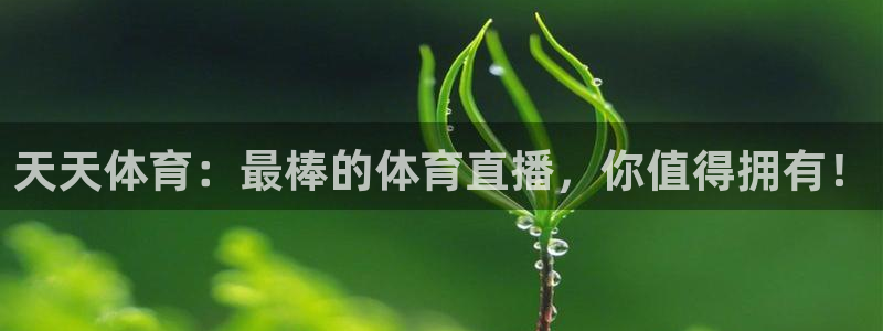 天天体育：最棒的体育直播，你值得拥有！