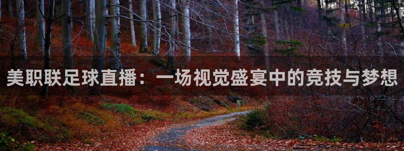 美职联足球直播：一场视觉盛宴中的竞技与梦想