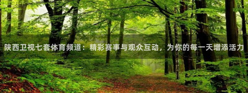 陕西卫视七套体育频道：精彩赛事与观众互动，为你的每一天增添活力