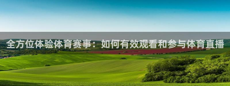 全方位体验体育赛事：如何有效观看和参与体育直播