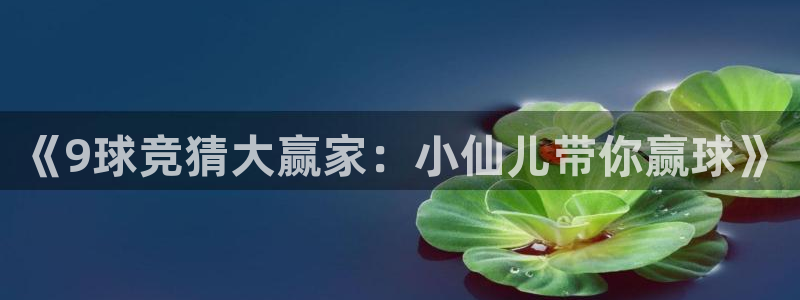 《9球竞猜大赢家：小仙儿带你赢球》