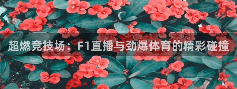 超燃竞技场：F1直播与劲爆体育的精彩碰撞