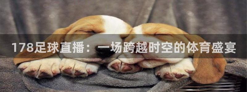 178足球直播：一场跨越时空的体育盛宴