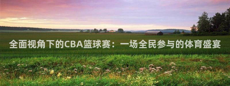 全面视角下的CBA篮球赛：一场全民参与的体育盛宴