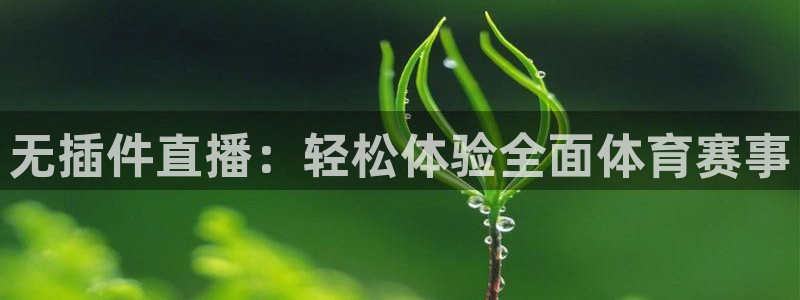 无插件直播：轻松体验全面体育赛事