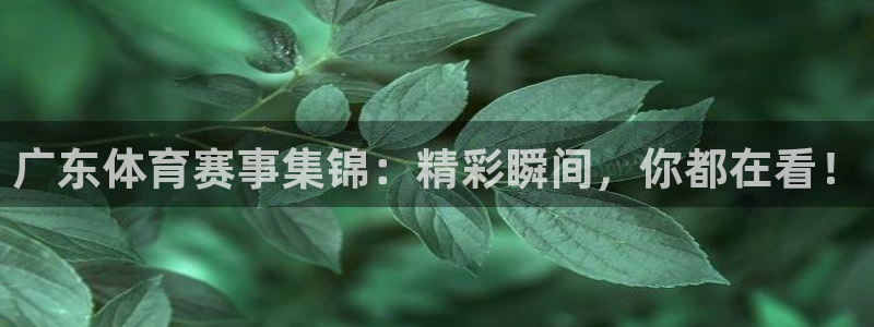 广东体育赛事集锦：精彩瞬间，你都在看！