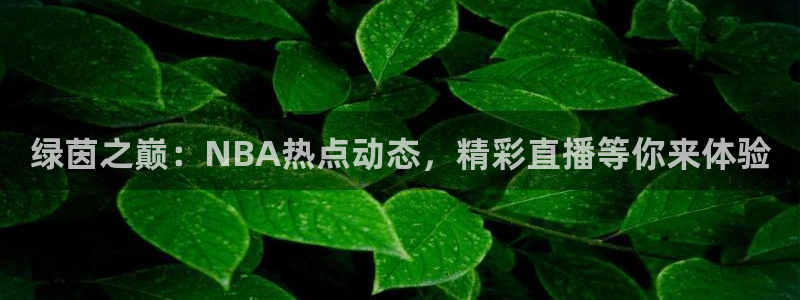 绿茵之巅：NBA热点动态，精彩直播等你来体验