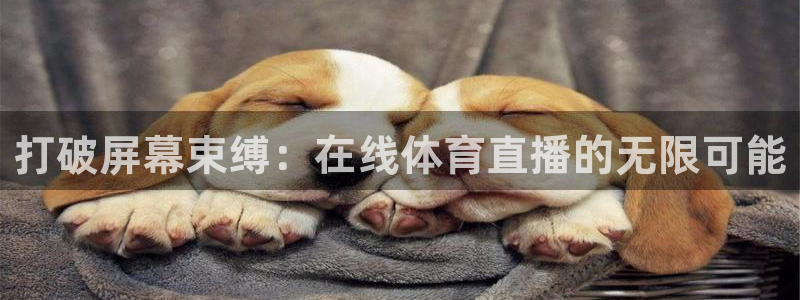 打破屏幕束缚：在线体育直播的无限可能