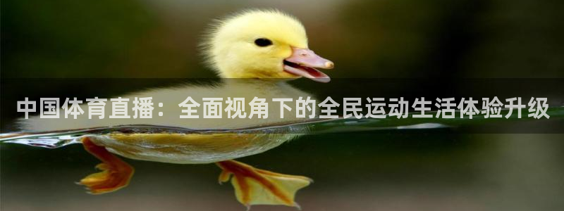 中国体育直播：全面视角下的全民运动生活体验升级