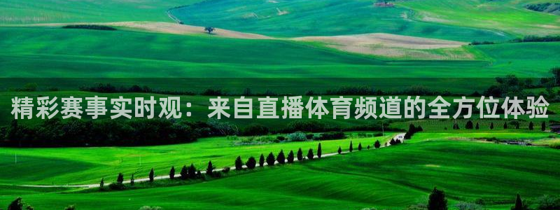 精彩赛事实时观：来自直播体育频道的全方位体验