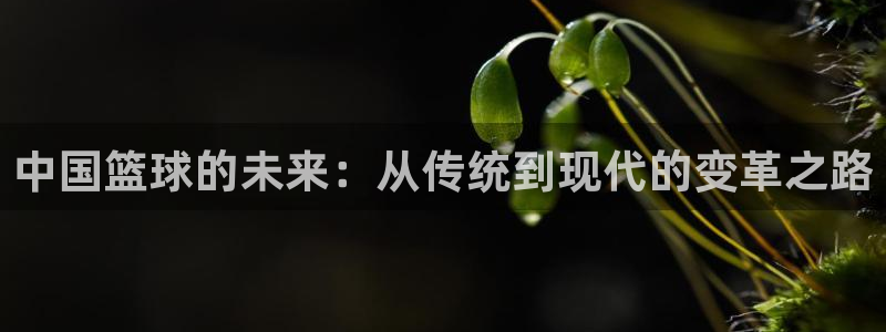 中国篮球的未来：从传统到现代的变革之路