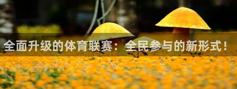 全面升级的体育联赛：全民参与的新形式！
