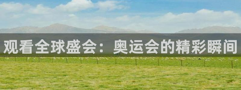 观看全球盛会：奥运会的精彩瞬间