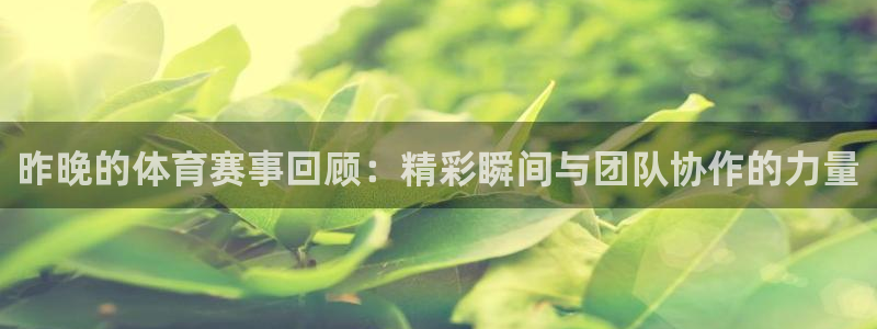 昨晚的体育赛事回顾：精彩瞬间与团队协作的力量
