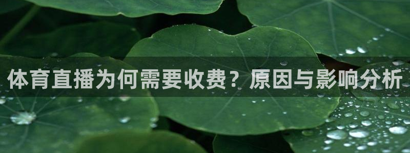 体育直播为何需要收费？原因与影响分析