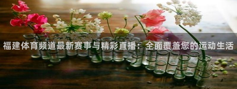 福建体育频道最新赛事与精彩直播：全面覆盖您的运动生活