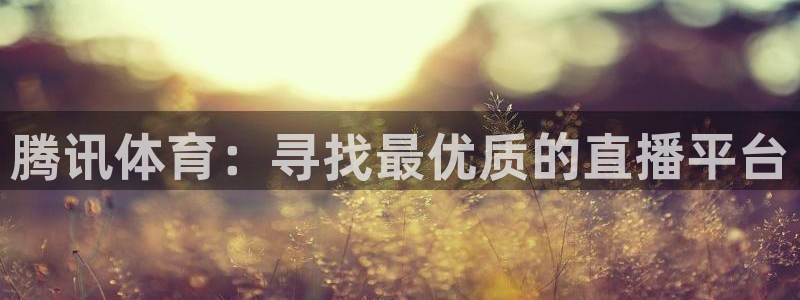 腾讯体育：寻找最优质的直播平台