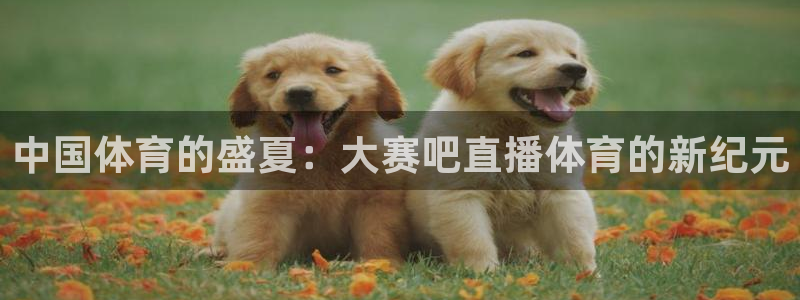 中国体育的盛夏：大赛吧直播体育的新纪元