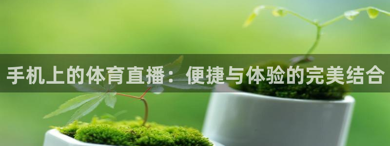 手机上的体育直播：便捷与体验的完美结合