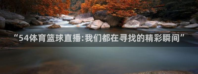 “54体育篮球直播:我们都在寻找的精彩瞬间”