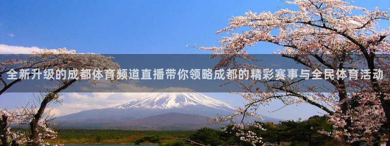 全新升级的成都体育频道直播带你领略成都的精彩赛事与全民体育活动