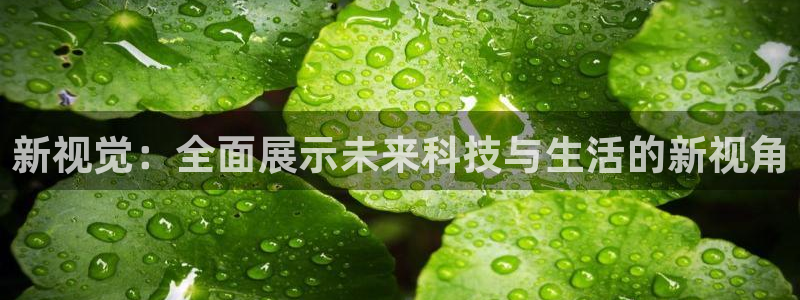 新视觉：全面展示未来科技与生活的新视角