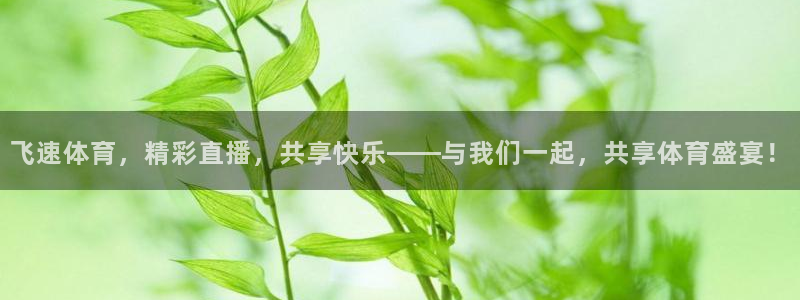 飞速体育，精彩直播，共享快乐——与我们一起，共享体育盛宴！