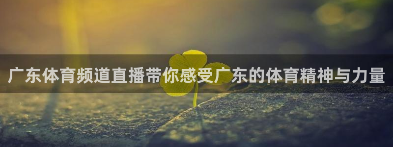 广东体育频道直播带你感受广东的体育精神与力量