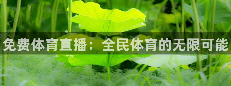 免费体育直播：全民体育的无限可能