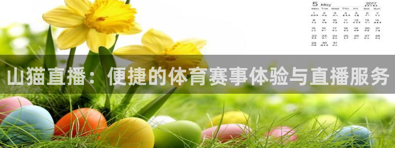 山猫直播：便捷的体育赛事体验与直播服务