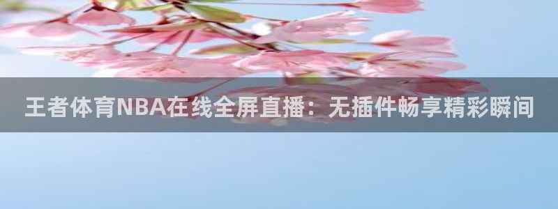 王者体育NBA在线全屏直播：无插件畅享精彩瞬间