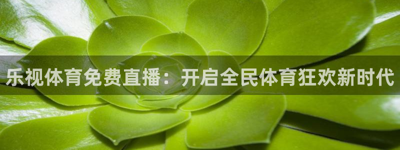 乐视体育免费直播：开启全民体育狂欢新时代