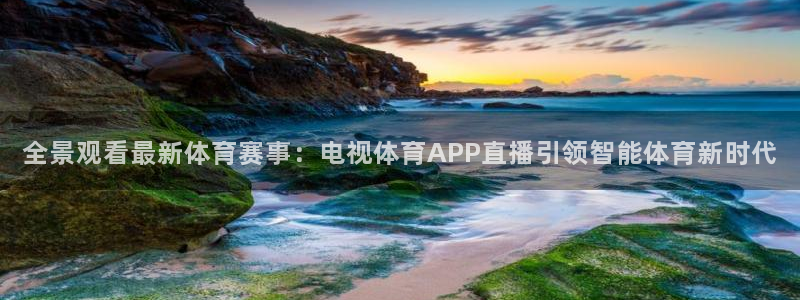 全景观看最新体育赛事：电视体育APP直播引领智能体育新时代