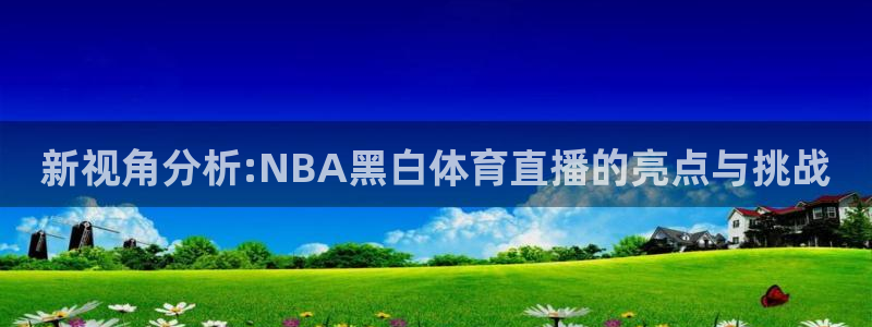 新视角分析:NBA黑白体育直播的亮点与挑战