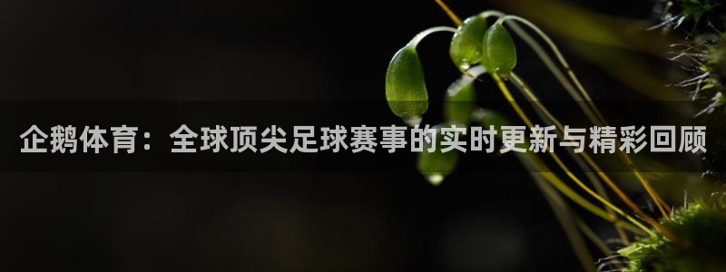 企鹅体育：全球顶尖足球赛事的实时更新与精彩回顾