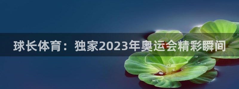 球长体育：独家2023年奥运会精彩瞬间
