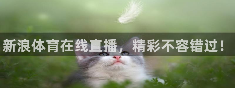 新浪体育在线直播，精彩不容错过！