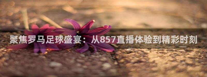 聚焦罗马足球盛宴：从857直播体验到精彩时刻