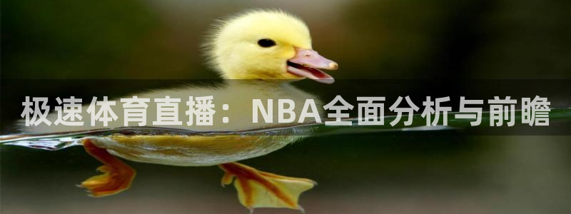 极速体育直播：NBA全面分析与前瞻
