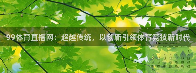 99体育直播网：超越传统，以创新引领体育竞技新时代